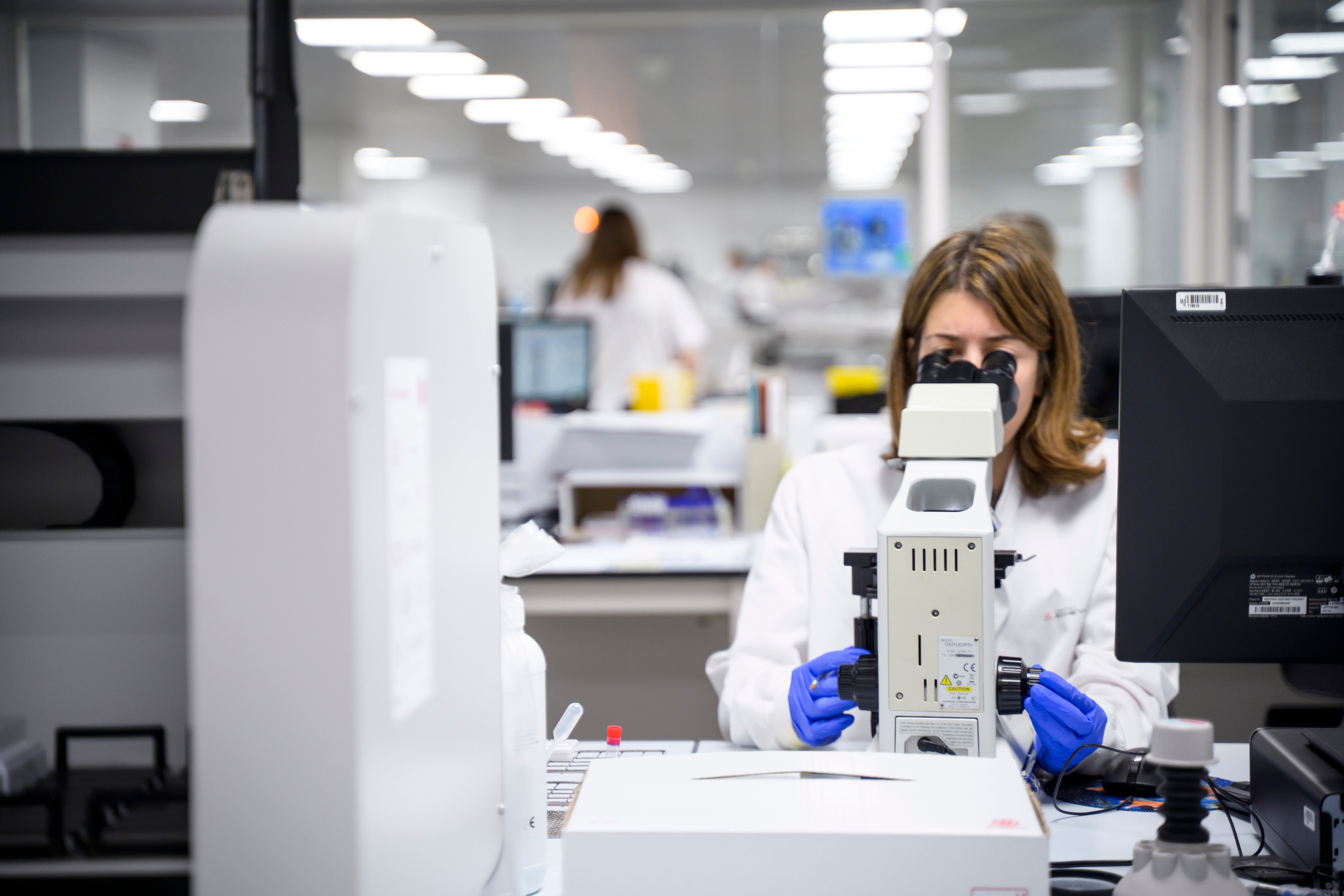 veterinaria mirando por microscopio