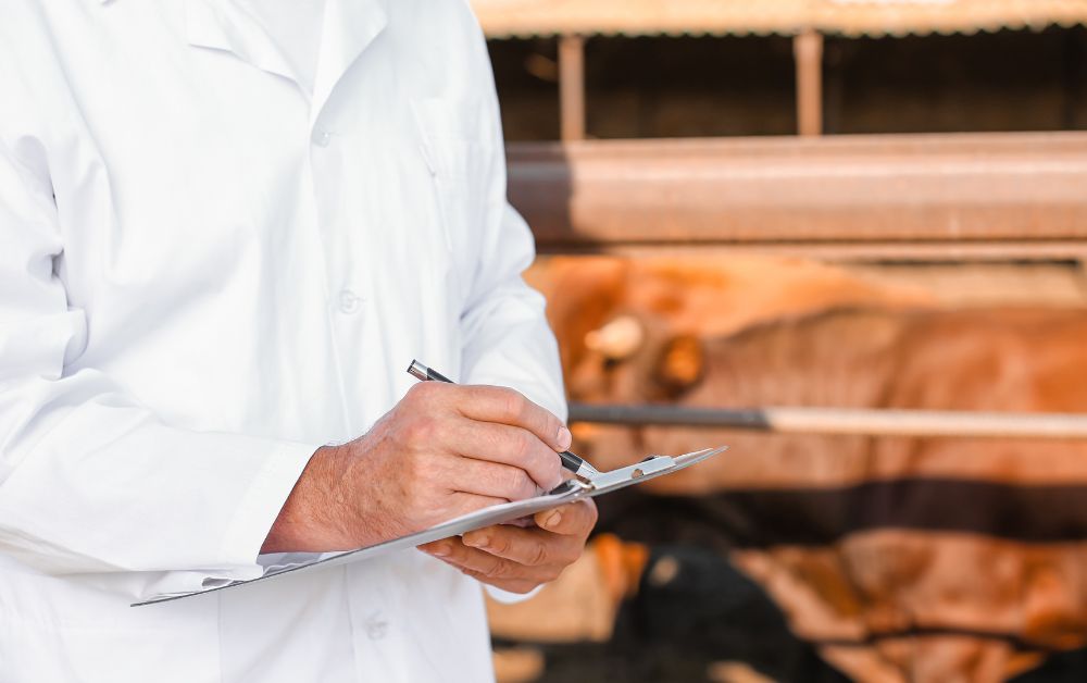 veterinario en una granja